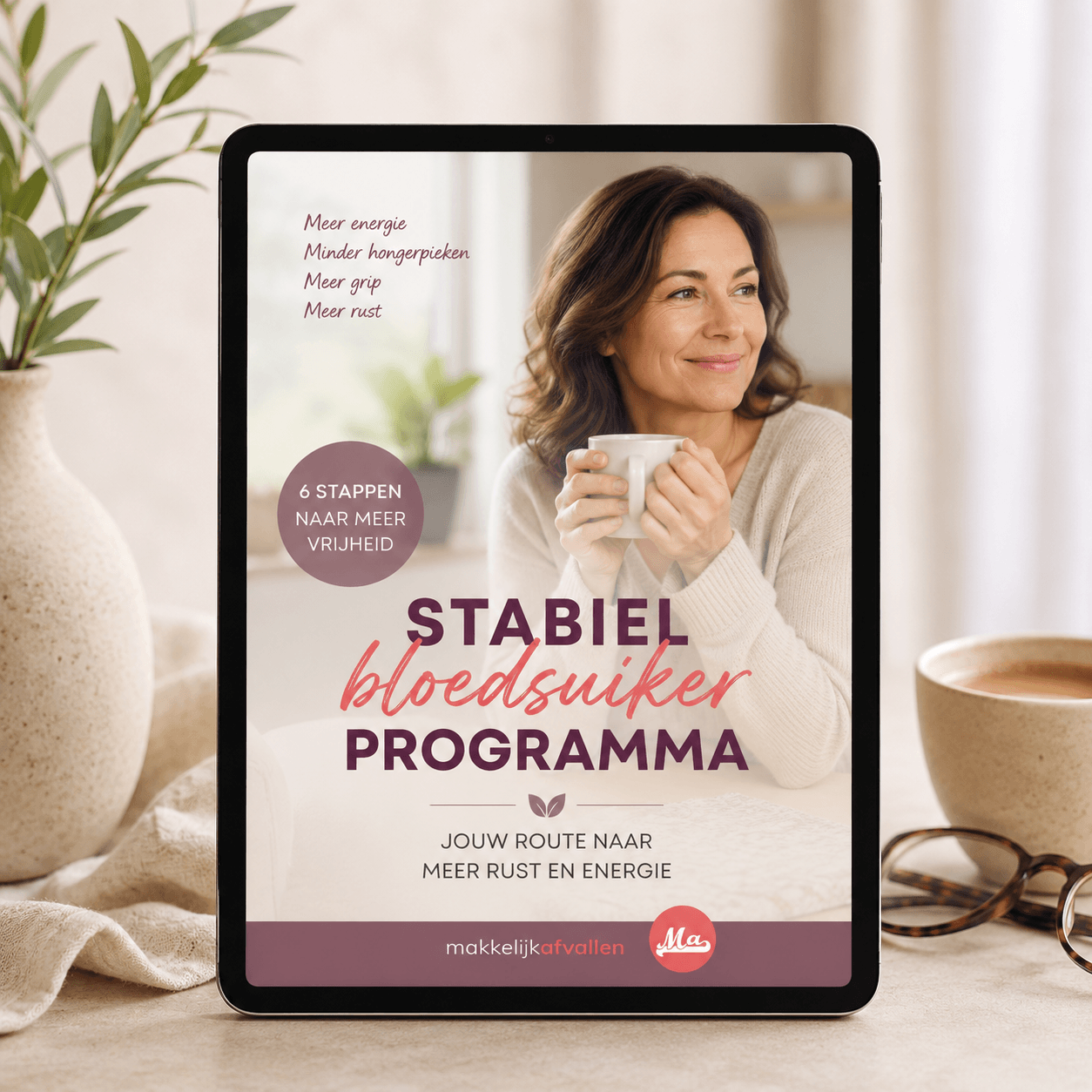 Stabiel Bloedsuikerprogramma Voedingsplan – voor een stabiele bloedsuikerspiegel Makkelijk Afvallen Shop